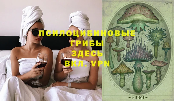 мдпв Белокуриха