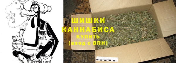 гашик Белоозёрский