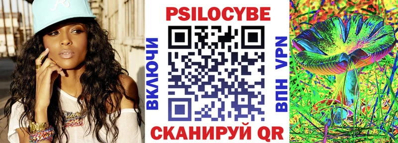 Псилоцибиновые грибы Psilocybine cubensis  Купить где  Луза 